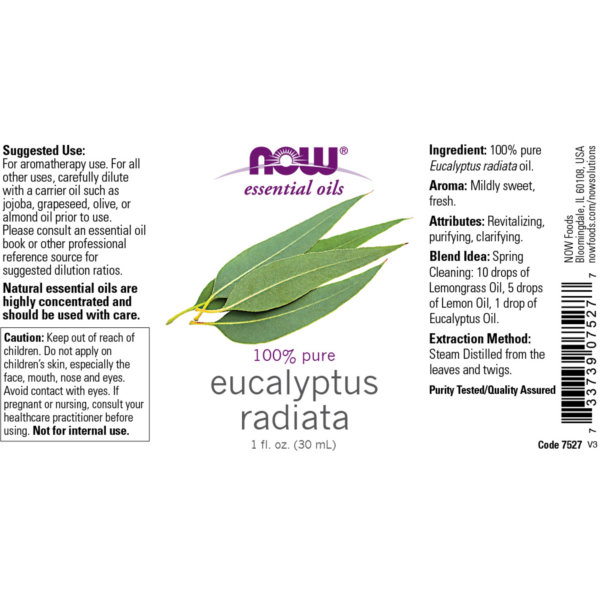 Eucalyptus Radiata Oil 100% Pure 30ml (Eucalyptus Radiata) - Image 2