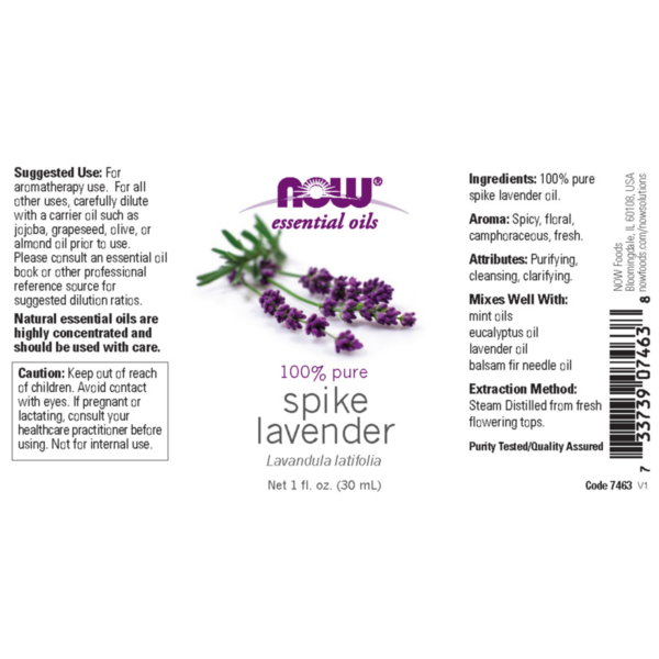 Spike Lavender 30ml (Lavandula Latifolia) - Image 2